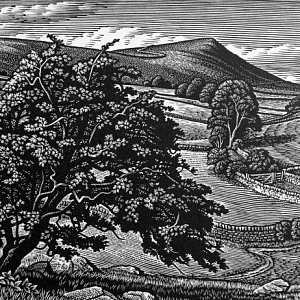 Wood Engravings by Howard Phipps from The Jerram Gallery. Contemporary British pictures and sculpture